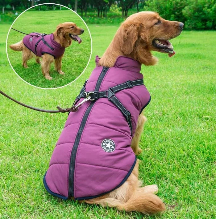 🐱🐶❄️ Abrigo acolchado y calentito para perros y gatos, impermeable, con elementos reflectantes y arnés integrado. ¡Tallas de la S a la 5XL para todas las razas! ✨