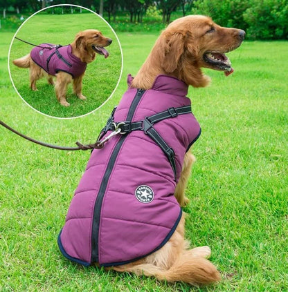 🐱🐶❄️ Abrigo acolchado y calentito para perros y gatos, impermeable, con elementos reflectantes y arnés integrado. ¡Tallas de la S a la 5XL para todas las razas! ✨
