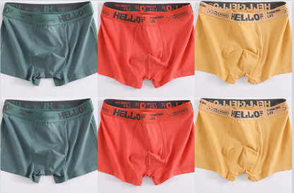 🔥【Speciální balíček】💥(6 položek) 【L-6XL】Pánský bavlněný boxer -- 3914315