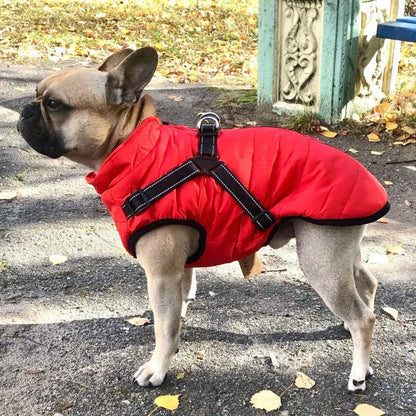 🐱🐶❄️ Abrigo acolchado y calentito para perros y gatos, impermeable, con elementos reflectantes y arnés integrado. ¡Tallas de la S a la 5XL para todas las razas! ✨