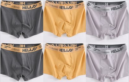 🔥【Speciální balíček】💥(6 položek) 【L-6XL】Pánský bavlněný boxer -- 3914315
